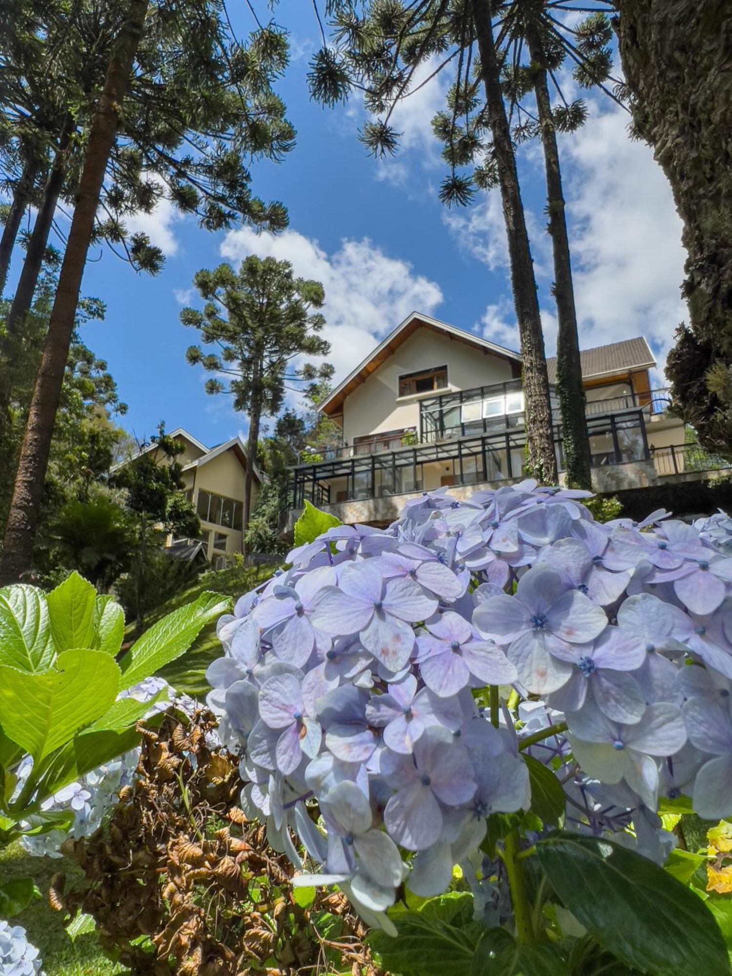 Araucaria Lodge Campos do Jordão Exteriér fotografie