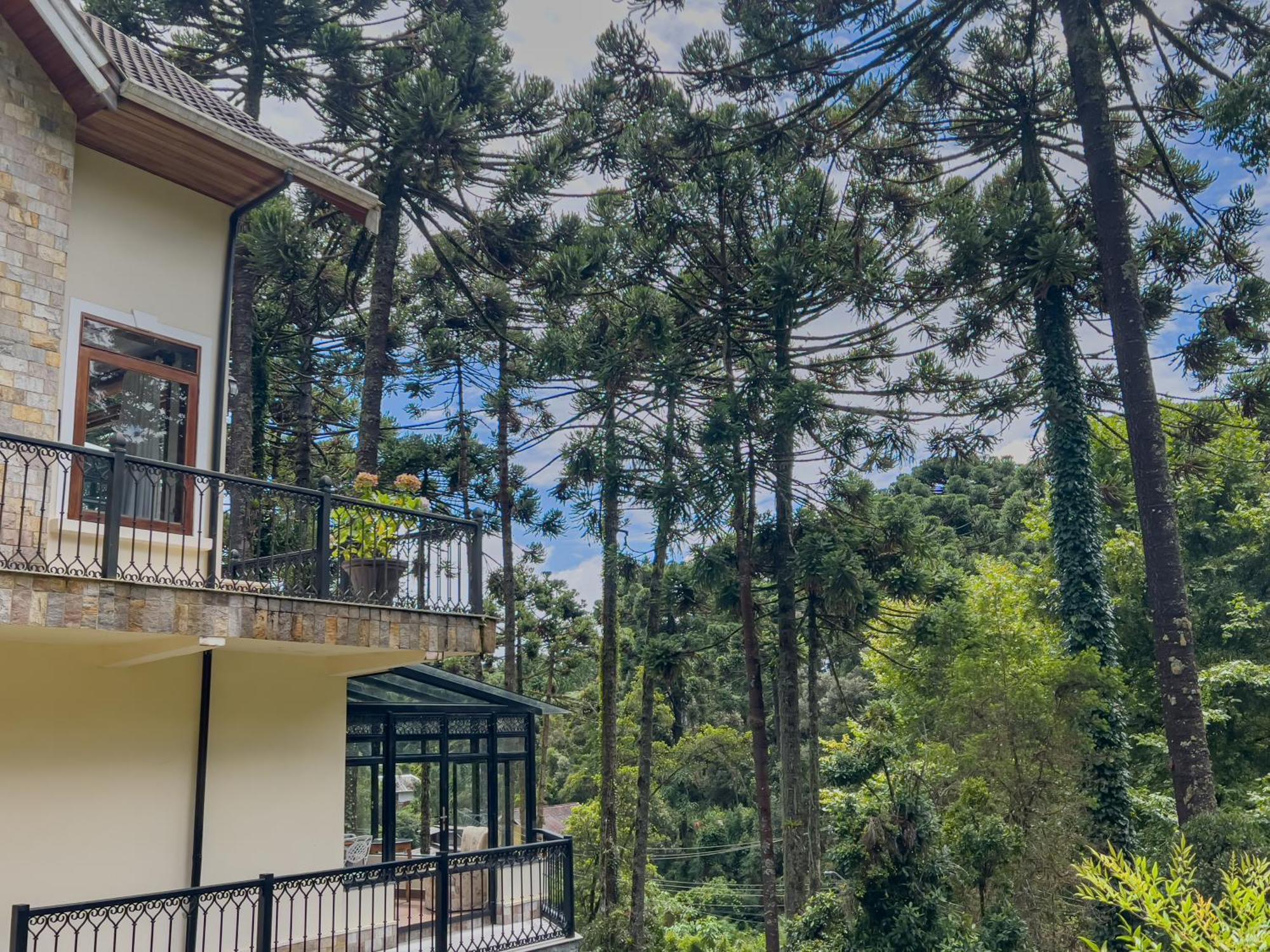 Araucaria Lodge Campos do Jordão Exteriér fotografie