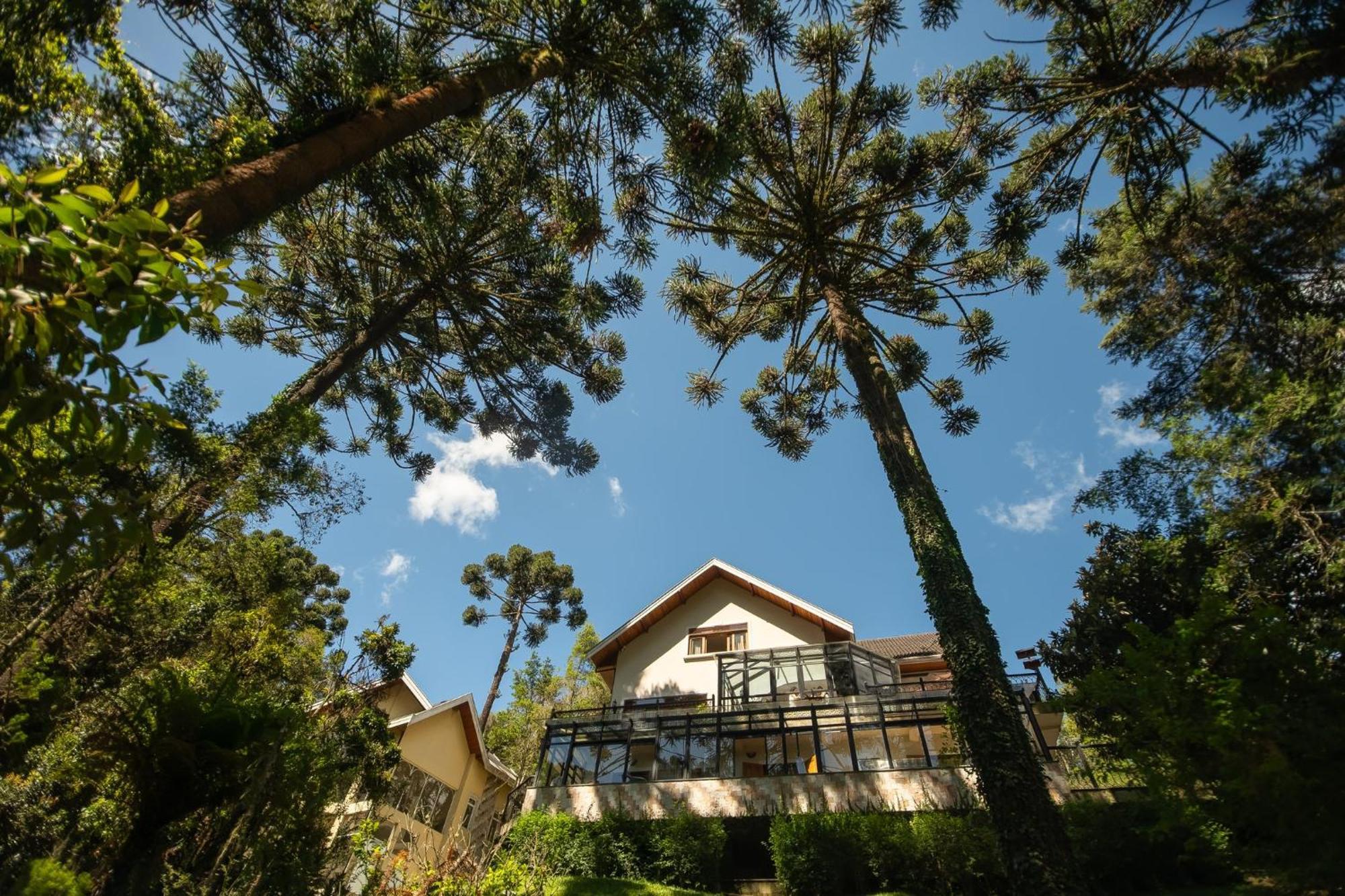 Araucaria Lodge Campos do Jordão Exteriér fotografie